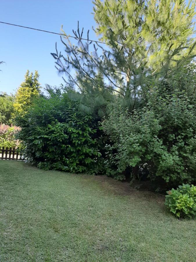 Apartament - 3 Pokojowe Dwupoziomowe Mieszkanie Z Ogrodem Krokowa Luaran gambar