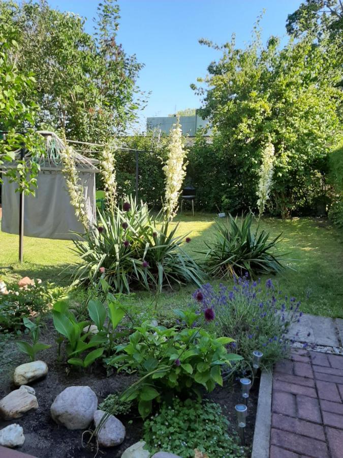 Apartament - 3 Pokojowe Dwupoziomowe Mieszkanie Z Ogrodem Krokowa Luaran gambar